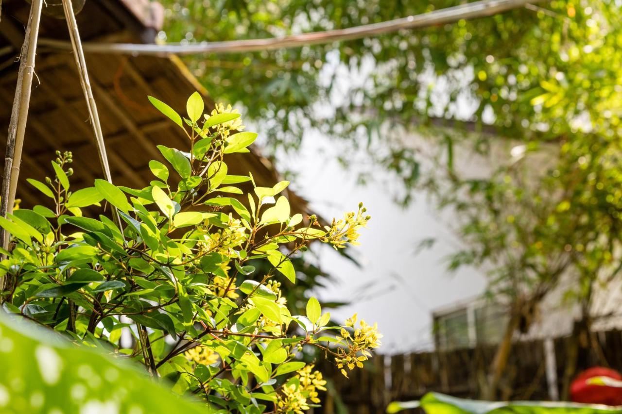 Under The Coconut Tree Hoi An Homestay Exterior foto